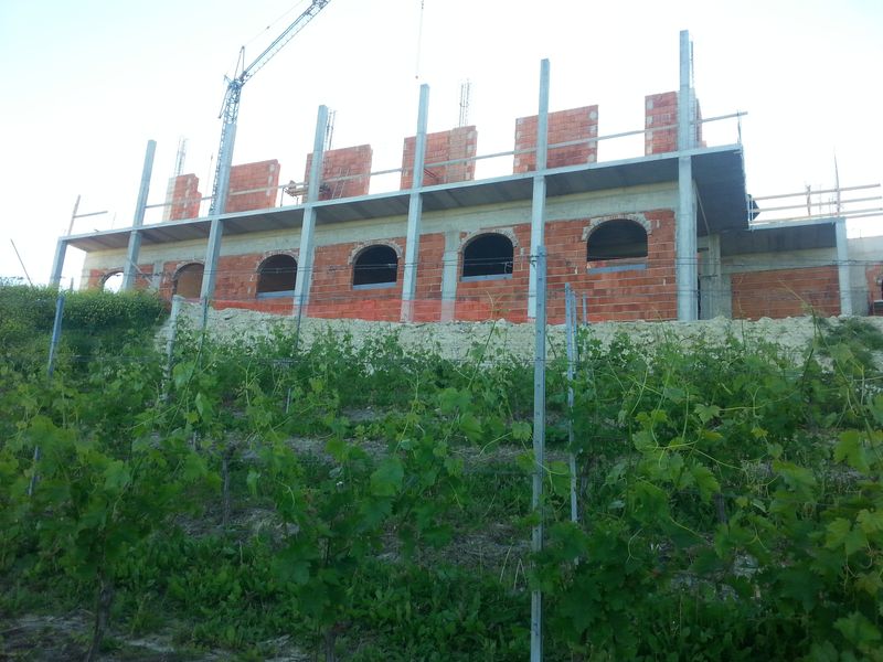 edilizia Cantina vinicola Nord Cantieri 